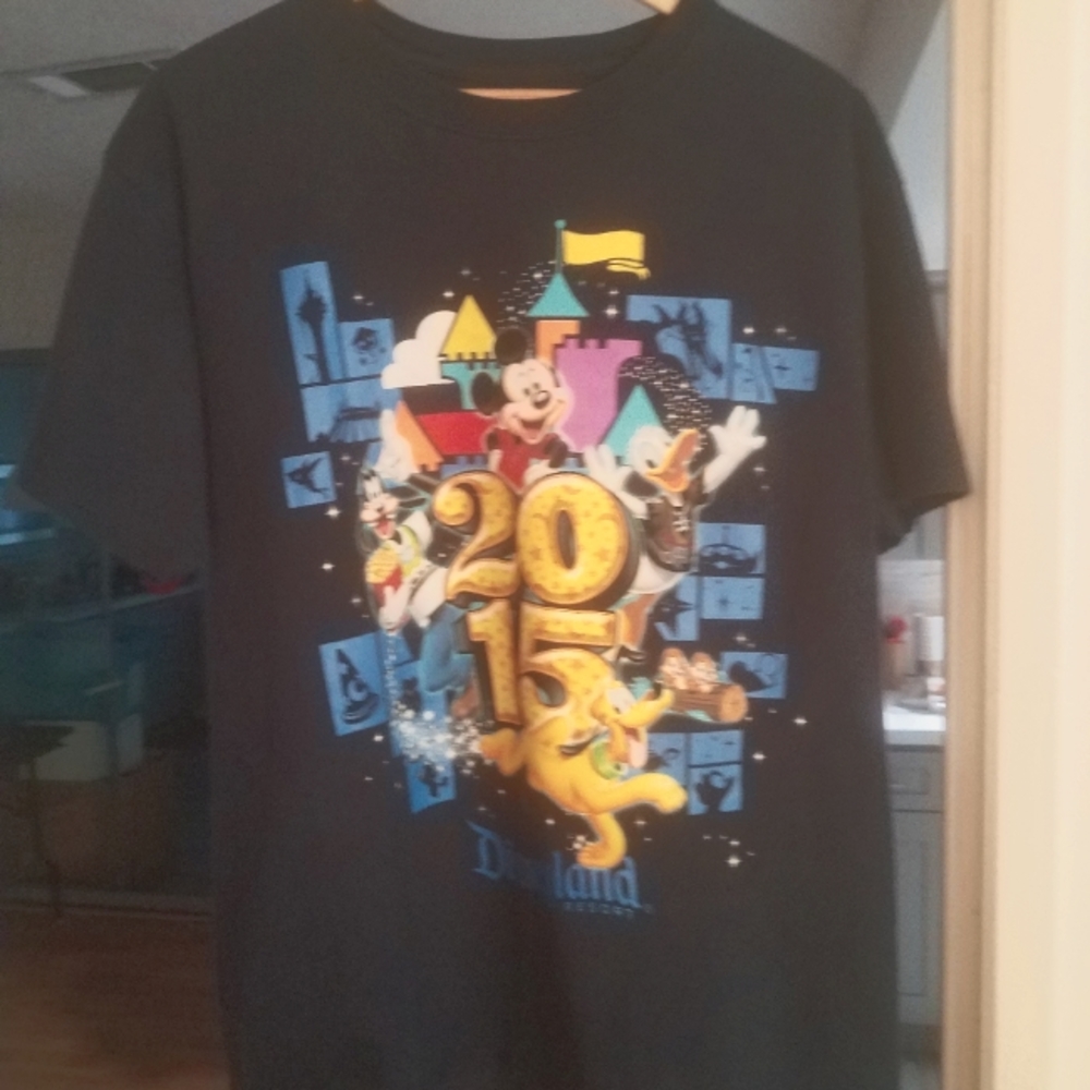Disney 2015 men's t-shirt